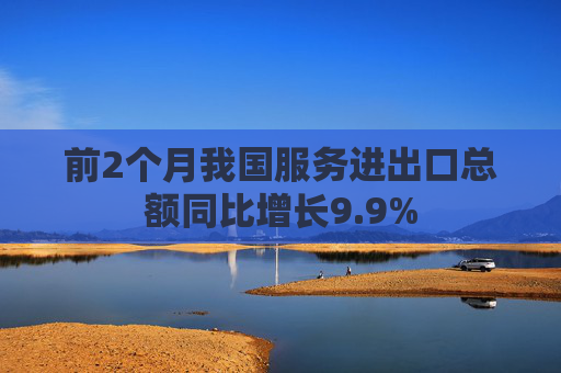 前2个月我国服务进出口总额同比增长9.9%