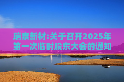 瑞泰新材:关于召开2025年第一次临时股东大会的通知
