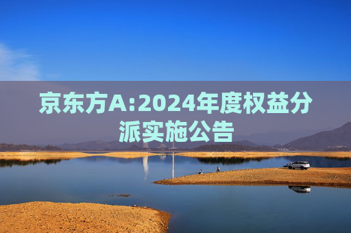 京东方A:2024年度权益分派实施公告
