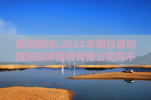 睿创微纳:2022年烟台睿创微纳技术股份有限公司向不特定对象发行可转换公司债券定期跟踪评级报告
