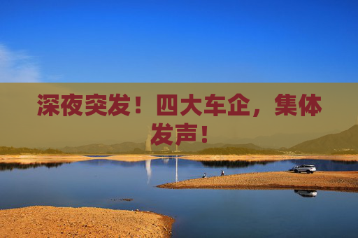深夜突发！四大车企，集体发声！  第1张