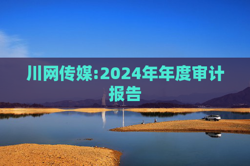 川网传媒:2024年年度审计报告