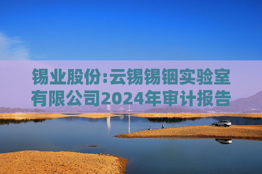 锡业股份:云锡锡铟实验室有限公司2024年审计报告