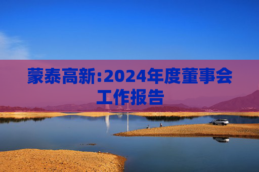 蒙泰高新:2024年度董事会工作报告