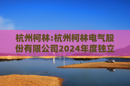 杭州柯林:杭州柯林电气股份有限公司2024年度独立董事述职报告（毛卫民）