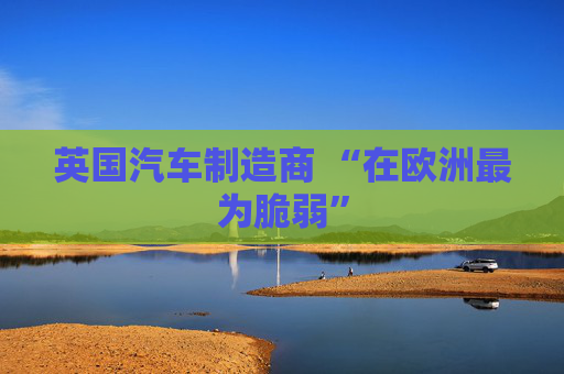 英国汽车制造商 “在欧洲最为脆弱”