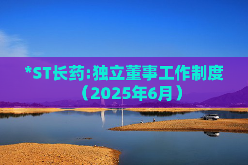 *ST长药:独立董事工作制度（2025年6月）