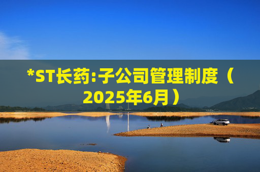*ST长药:子公司管理制度（2025年6月）  第1张
