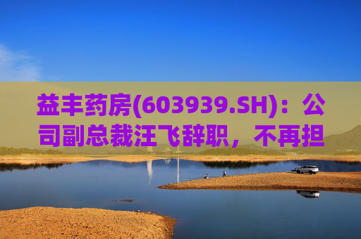 益丰药房(603939.SH)：公司副总裁汪飞辞职，不再担任公司其他职务  第1张