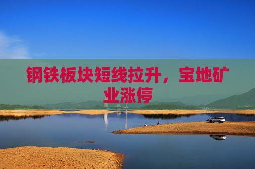 钢铁板块短线拉升，宝地矿业涨停  第1张