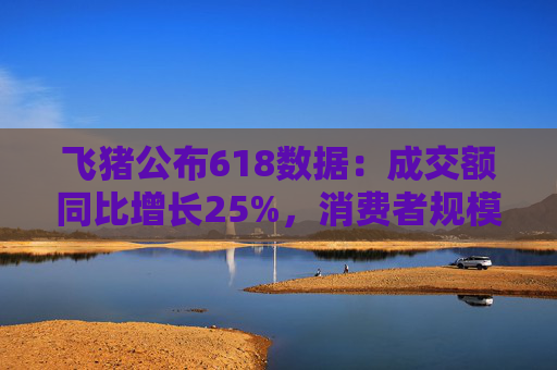 飞猪公布618数据：成交额同比增长25%，消费者规模增长约30%