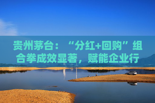 贵州茅台：“分红+回购”组合拳成效显著，赋能企业行稳致远