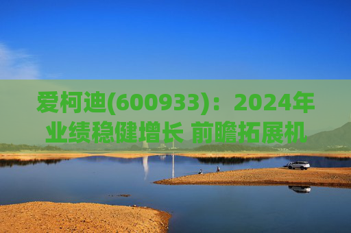 爱柯迪(600933)：2024年业绩稳健增长 前瞻拓展机器人相关业务  第1张