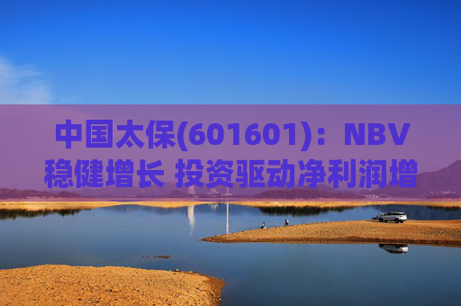 中国太保(601601)：NBV稳健增长 投资驱动净利润增速提升  第1张