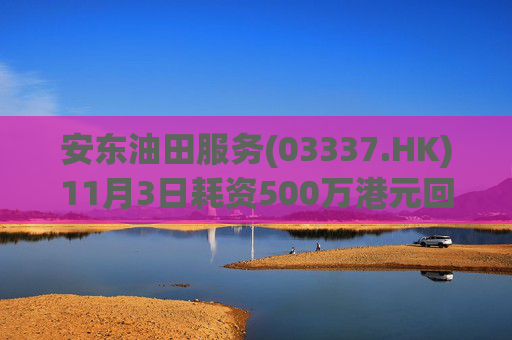 安东油田服务(03337.HK)11月3日耗资500万港元回购472万股