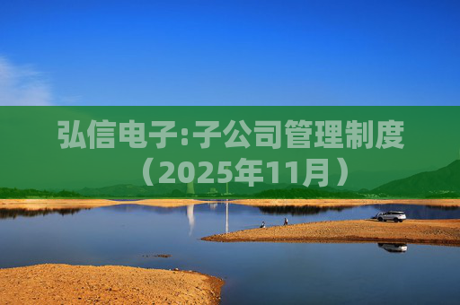 弘信电子:子公司管理制度（2025年11月）