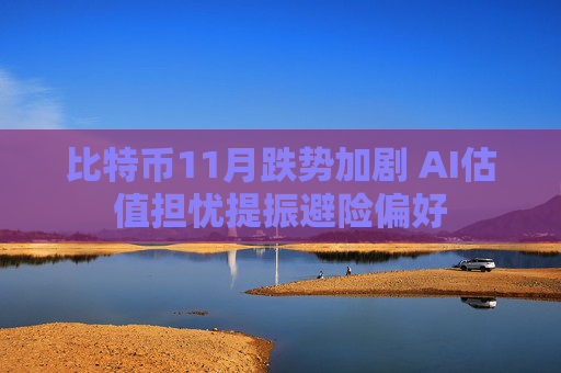 比特币11月跌势加剧 AI估值担忧提振避险偏好