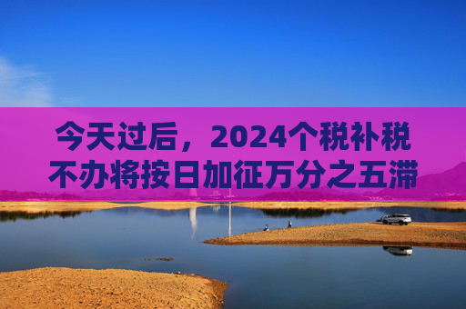 今天过后，2024个税补税不办将按日加征万分之五滞纳金