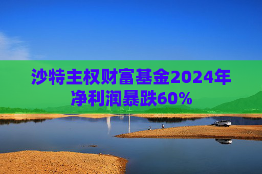 沙特主权财富基金2024年净利润暴跌60%  第1张