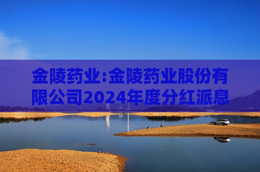 金陵药业:金陵药业股份有限公司2024年度分红派息实施公告