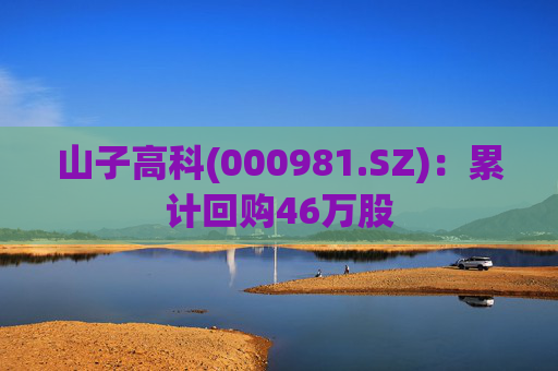 山子高科(000981.SZ)：累计回购46万股