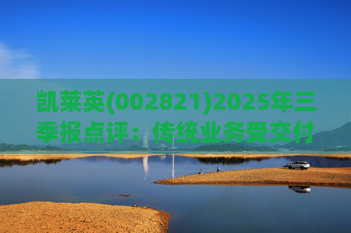 凯莱英(002821)2025年三季报点评：传统业务受交付节奏影响 新兴业务加速放量