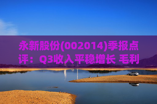 永新股份(002014)季报点评：Q3收入平稳增长 毛利率企稳回升