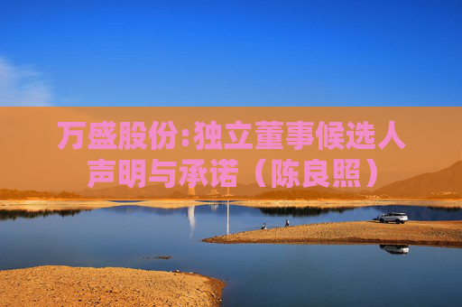 万盛股份:独立董事候选人声明与承诺（陈良照）