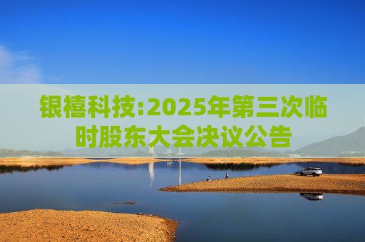银禧科技:2025年第三次临时股东大会决议公告