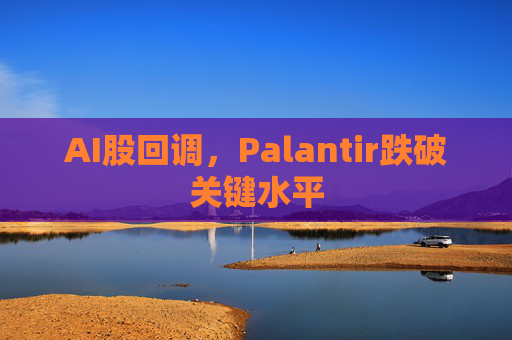 AI股回调，Palantir跌破关键水平