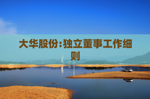 大华股份:独立董事工作细则