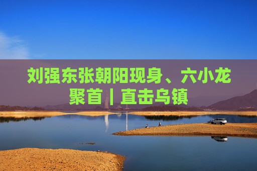 刘强东张朝阳现身、六小龙聚首｜直击乌镇