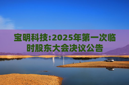 宝明科技:2025年第一次临时股东大会决议公告