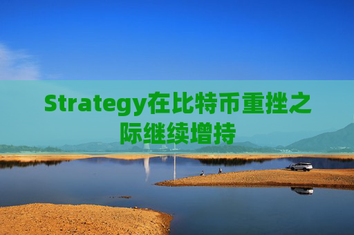 Strategy在比特币重挫之际继续增持  第1张