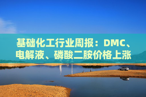 基础化工行业周报：DMC、电解液、磷酸二胺价格上涨 关注反内卷和铬盐