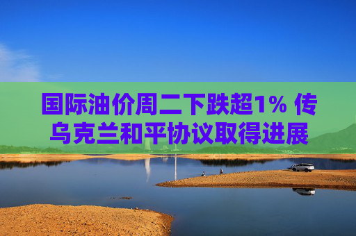 国际油价周二下跌超1% 传乌克兰和平协议取得进展  第1张