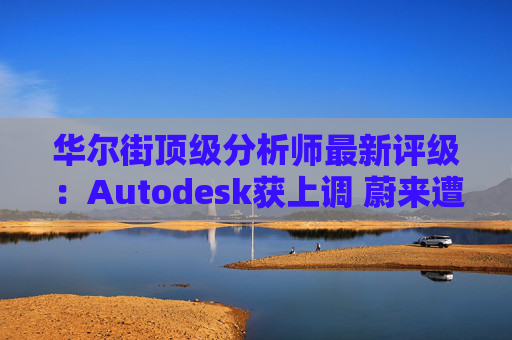 华尔街顶级分析师最新评级：Autodesk获上调 蔚来遭下调  第1张