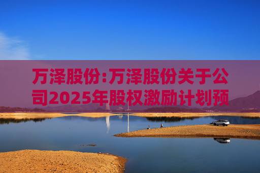 万泽股份:万泽股份关于公司2025年股权激励计划预留授予限制性股票登记完成的公告