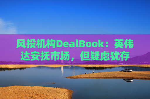 风投机构DealBook：英伟达安抚市场，但疑虑犹存