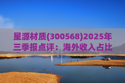 星源材质(300568)2025年三季报点评：海外收入占比提升 盈利水平改善