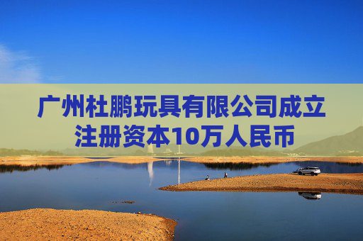 广州杜鹏玩具有限公司成立 注册资本10万人民币  第1张