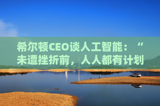 希尔顿CEO谈人工智能：“未遭挫折前，人人都有计划”