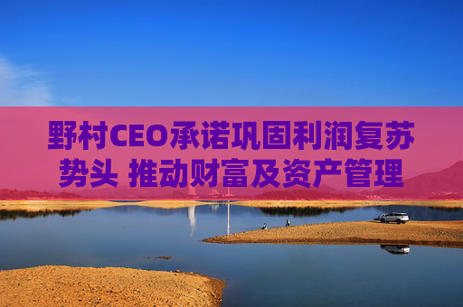 野村CEO承诺巩固利润复苏势头 推动财富及资产管理业务进入高增长阶段  第1张