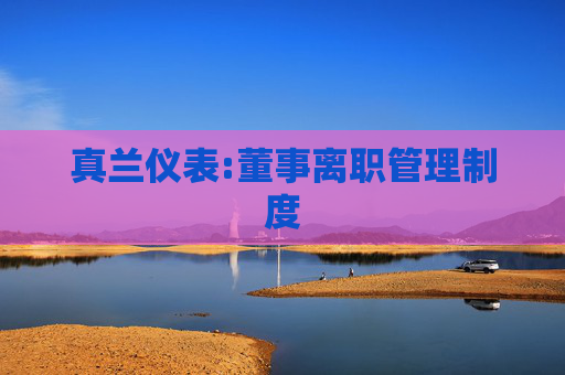 真兰仪表:董事离职管理制度  第1张