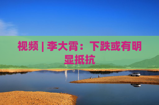 视频 | 李大霄：下跌或有明显抵抗