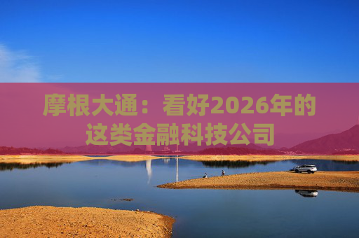 摩根大通：看好2026年的这类金融科技公司