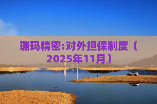 瑞玛精密:对外担保制度（2025年11月）