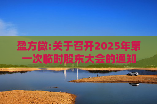 盈方微:关于召开2025年第一次临时股东大会的通知