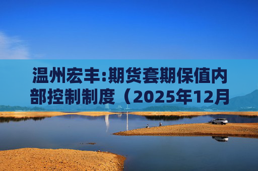 温州宏丰:期货套期保值内部控制制度（2025年12月修订）