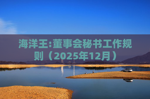 海洋王:董事会秘书工作规则（2025年12月）